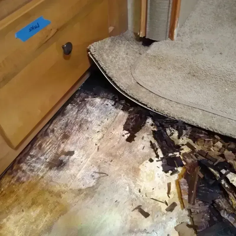 Wood Floor Water Damage in Camden, NJ